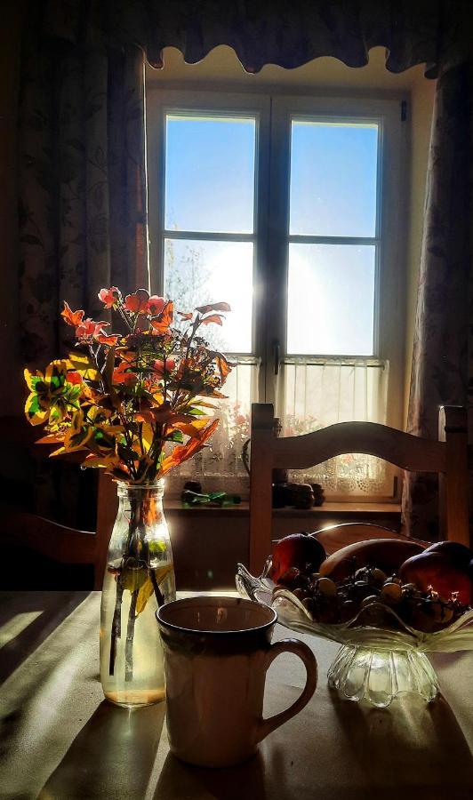 Dwor Na Wichrowym Wzgorzu Bed & Breakfast Przybyslawice ภายนอก รูปภาพ