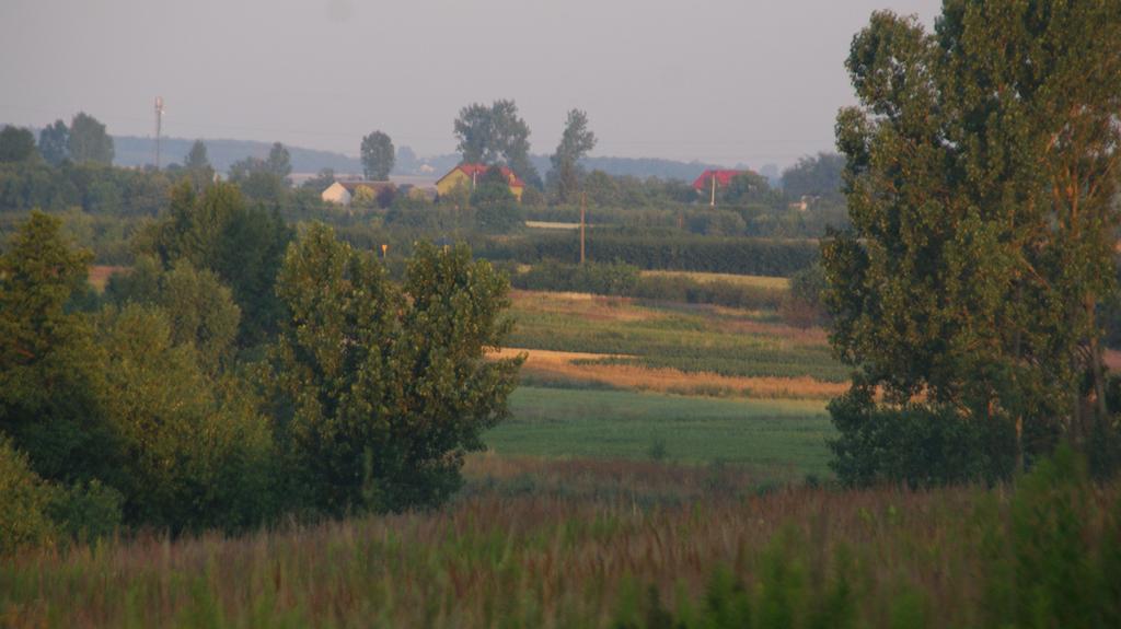 Dwor Na Wichrowym Wzgorzu Bed & Breakfast Przybyslawice ภายนอก รูปภาพ
