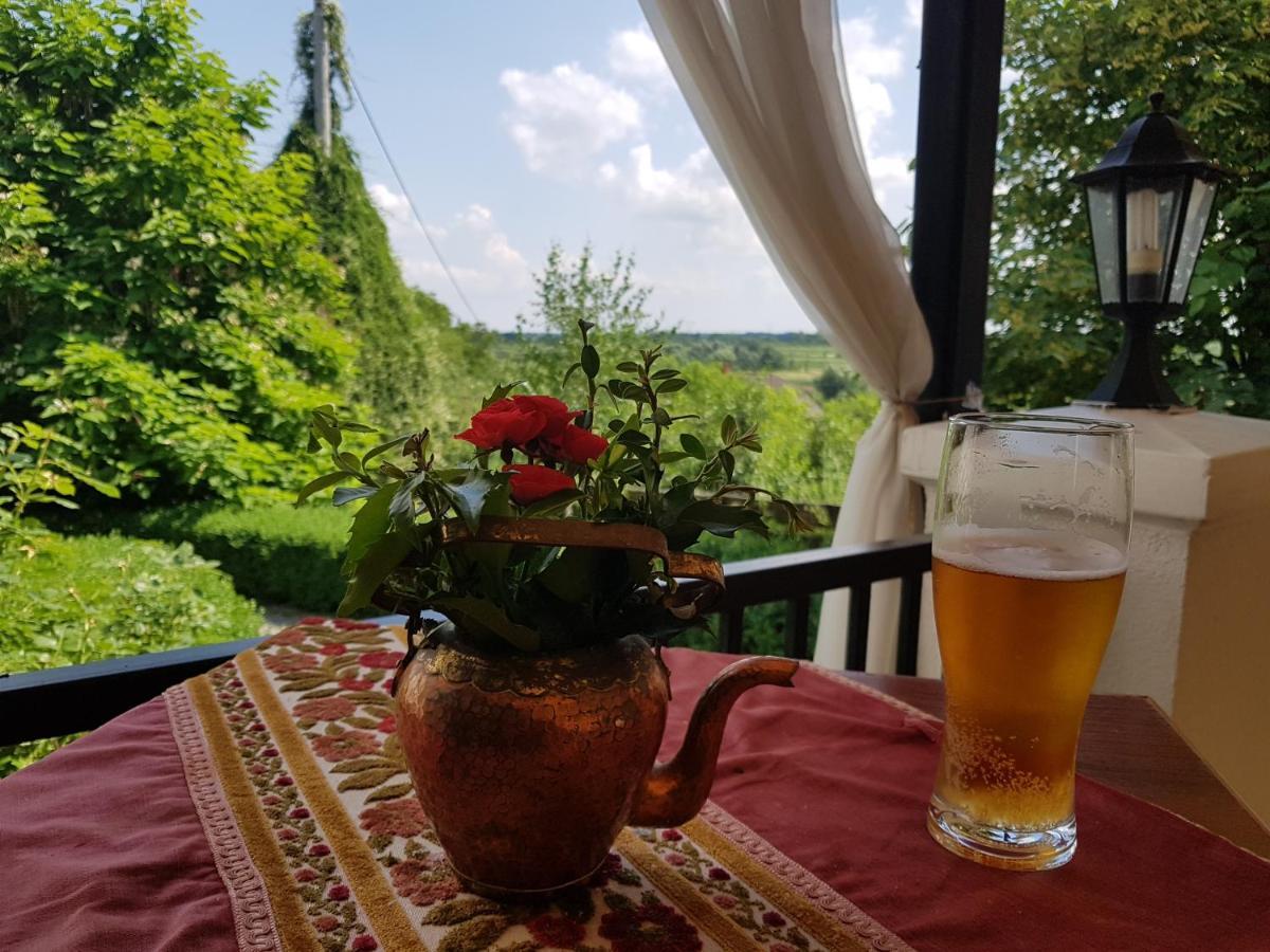 Dwor Na Wichrowym Wzgorzu Bed & Breakfast Przybyslawice ภายนอก รูปภาพ